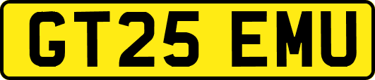 GT25EMU