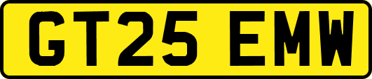 GT25EMW