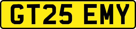GT25EMY