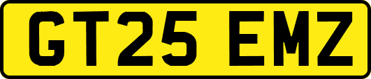 GT25EMZ