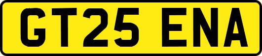 GT25ENA