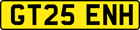 GT25ENH