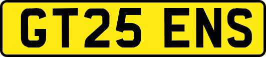 GT25ENS