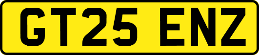 GT25ENZ