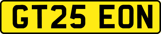 GT25EON