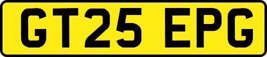 GT25EPG