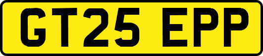 GT25EPP