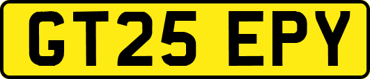 GT25EPY
