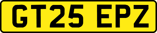 GT25EPZ