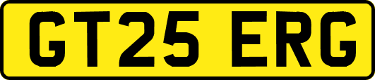 GT25ERG