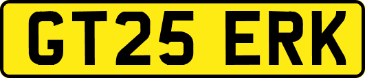 GT25ERK
