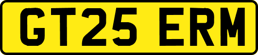 GT25ERM