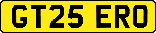 GT25ERO