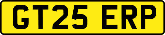 GT25ERP