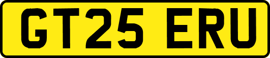 GT25ERU