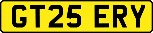 GT25ERY