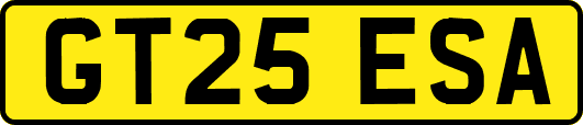 GT25ESA