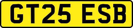 GT25ESB