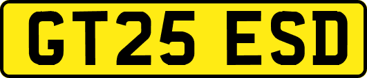 GT25ESD