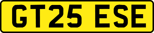 GT25ESE
