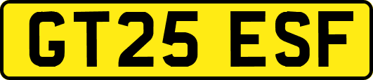 GT25ESF