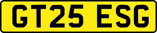 GT25ESG