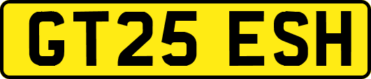GT25ESH