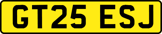 GT25ESJ