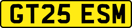 GT25ESM