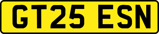 GT25ESN