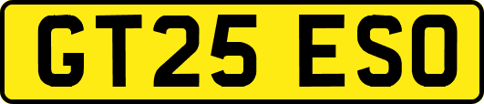 GT25ESO