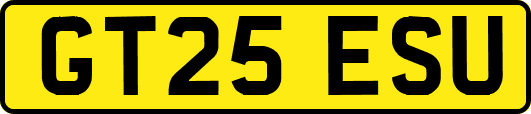GT25ESU