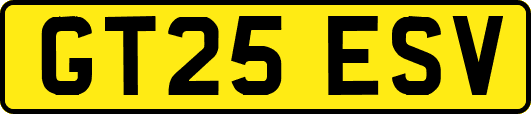 GT25ESV