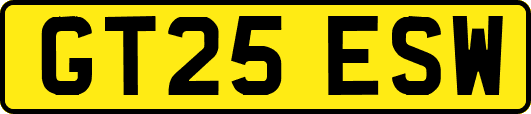 GT25ESW