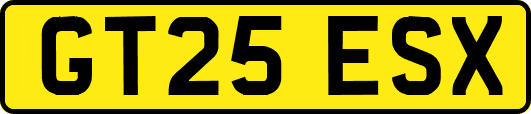 GT25ESX