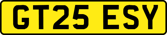 GT25ESY