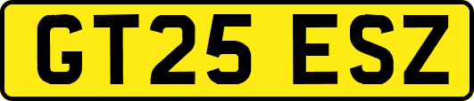 GT25ESZ