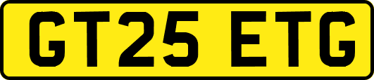 GT25ETG