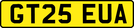 GT25EUA