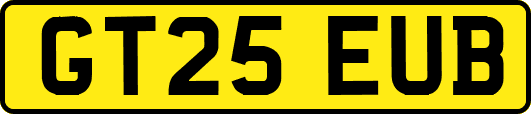 GT25EUB