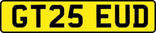 GT25EUD
