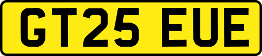 GT25EUE