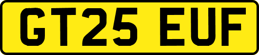 GT25EUF