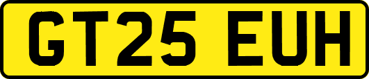 GT25EUH