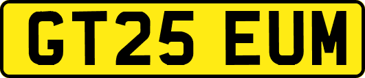 GT25EUM