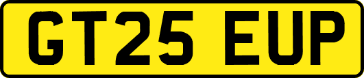 GT25EUP