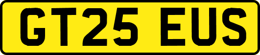 GT25EUS