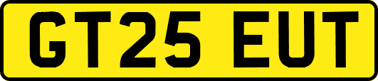 GT25EUT