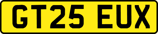 GT25EUX