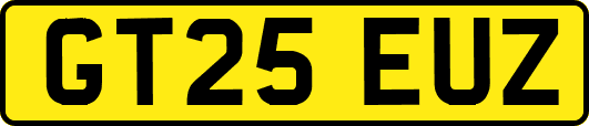 GT25EUZ